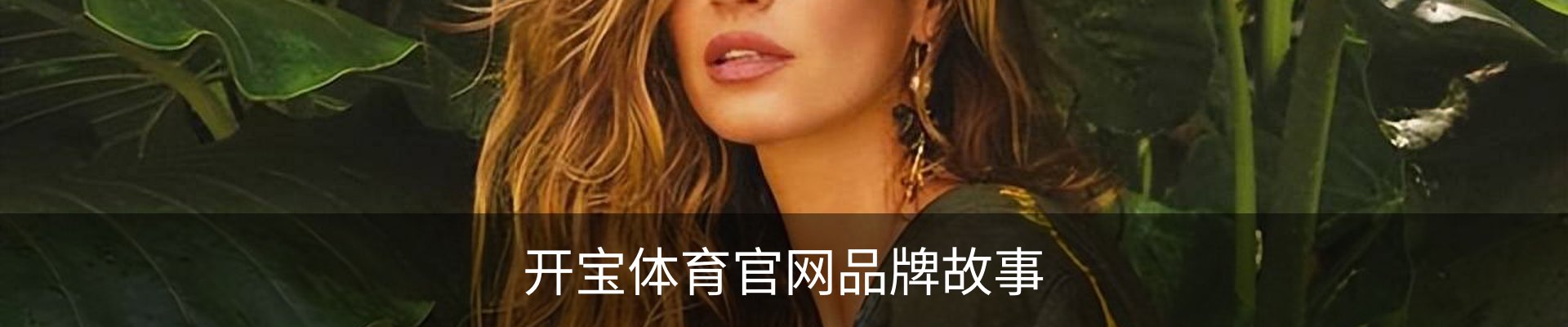 开宝体育官网品牌故事