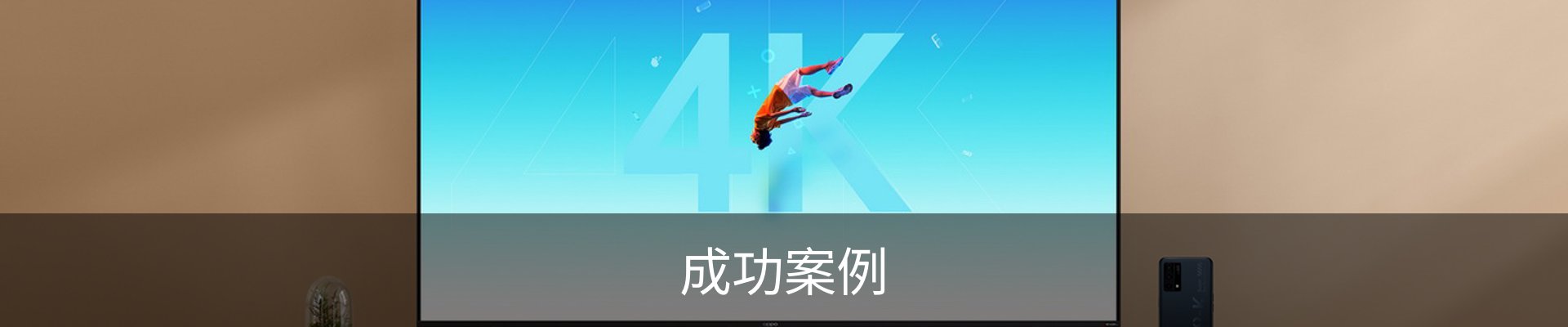 成功案例